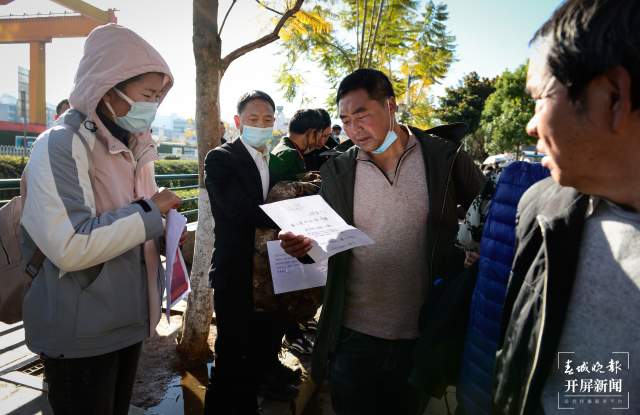 双柏人才市场